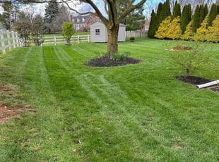 Terri W.'s lawn service service result