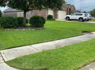 Norma L.'s turf care service result