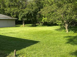 Kwame I.'s turf maintenance service result