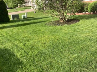 Justin D.'s lawn care service result