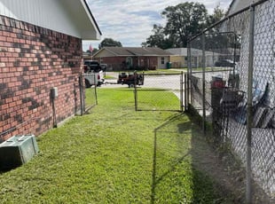 Tessa M.'s turf care service result