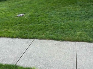 Larry J.'s lawn maintenance service result