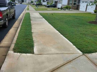 Heather G.'s turf maintenance service result