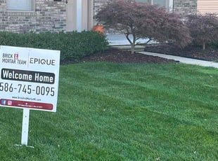 John P.'s turf care service result