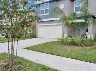 Norma G.'s lawn care service result