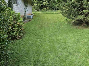 Jamye R.'s turf maintenance service result
