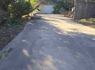 Raymond G.'s grass maintenance service result