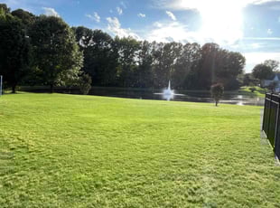 Jai J.'s grass cutting service result