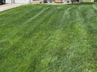 Mari S.'s grass maintenance service result