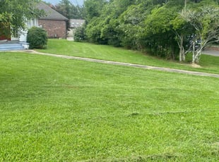 Blake H.'s grass cutting service result