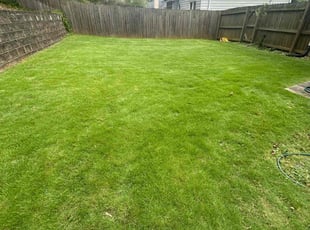 Samuel H.'s grass maintenance service result