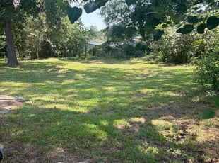 Hannah A.'s lawn service service result