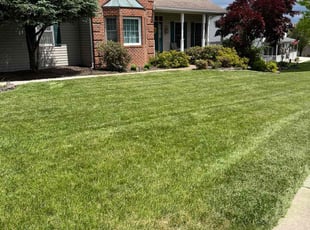 Matt J.'s turf maintenance service result