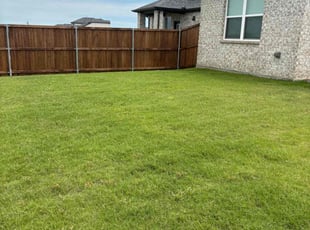 Riona E.'s lawn care service result