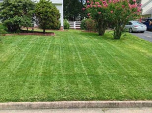 Rosetta C.'s grass cutting service result