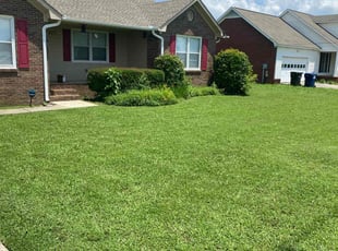 Charles M.'s lawn service service result