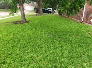 Miriam L.'s grass maintenance service result
