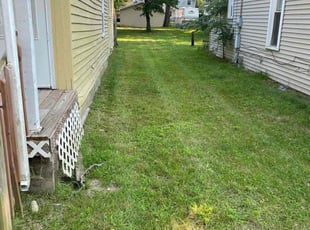 Paul R.'s turf care service result