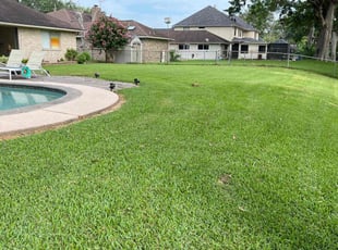 Brittany J.'s lawn care services service result