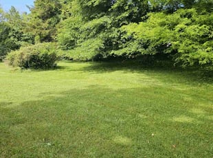 Erika S.'s grass cutting service result