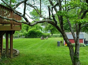 Chris B.'s grass cutting service result