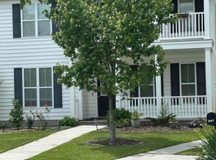 Joyce P.'s grass maintenance service result