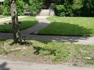 T.C. G.'s turf care service result