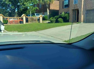 Jenni S.'s grass maintenance service result