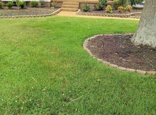 Tiffany K.'s lawn maintenance service result