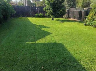 Brenda C.'s lawn maintenance service result