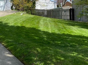 Rhonda H.'s turf care service result
