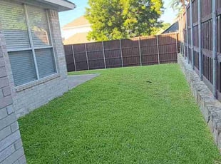 Alisha F.'s lawn service service result