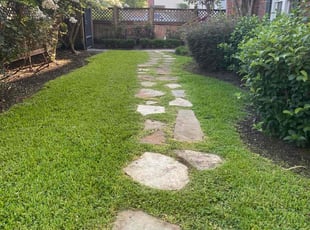 Nicol C.'s grass cutting service result