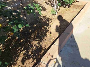 Sheila W.'s turf care service result