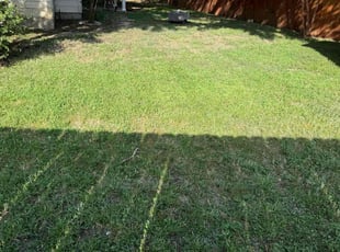 Ashley M.'s grass maintenance service result