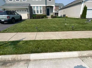 Melanie B.'s turf maintenance service result
