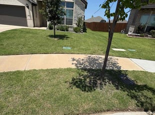 Kasey W.'s grass cutting service result