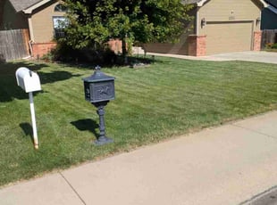 Melissa S.'s lawn care services service result