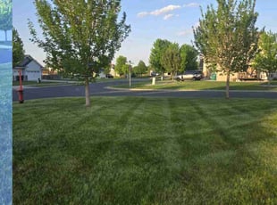 Ty B.'s lawn maintenance service result