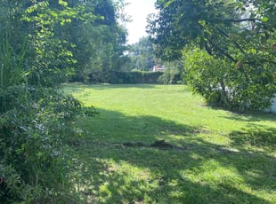 Betty W.'s grass maintenance service result