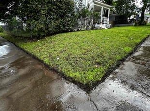 Jerry M.'s lawn care service result