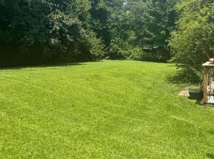 Greg B.'s lawn maintenance service result