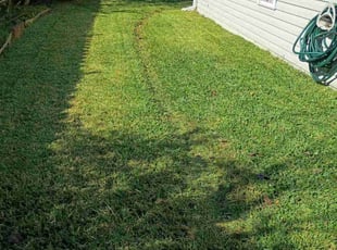Tamera D.'s grass cutting service result