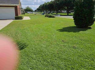 Janice D.'s turf care service result