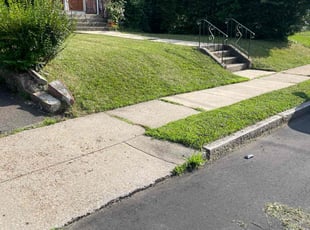 Deborah R.'s turf care service result