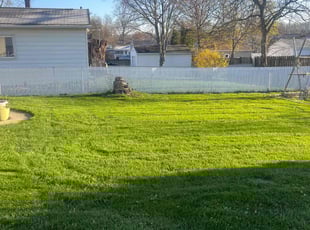 China D.'s grass maintenance service result