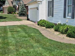 Christie B.'s Flower Bed Weeding service result