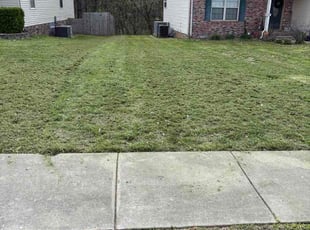 James C.'s turf care service result