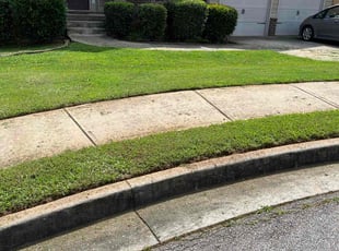 Roderick P.'s turf care service result