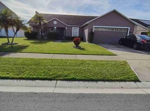 Rocky Y.'s turf maintenance service result